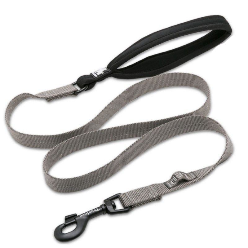 Laisse chien Truelove Pull 140 cm