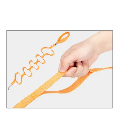 Laisse chien Truelove PULL IDAHO - Matière recyclée Laisse chien Truelove PULL IDAHO - Matière recyclée