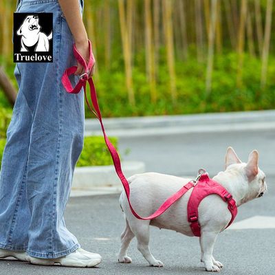 Laisse chien Truelove PULL IDAHO - Matière recyclée