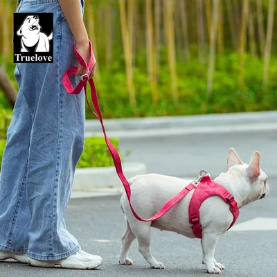 Laisse chien Truelove PULL IDAHO - Matière recyclée Laisse chien Truelove PULL IDAHO - Matière recyclée