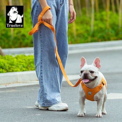 Laisse chien Truelove PULL IDAHO - Matière recyclée