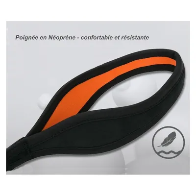 Laisse chien Truelove PULL PLUS +