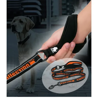 Laisse chien Truelove PULL PLUS +