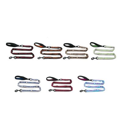 Laisse chien Truelove PULL PLUS +