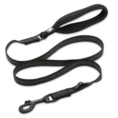 Laisse chien Truelove Pull 140 cm Laisse chien Truelove Pull 140 cm