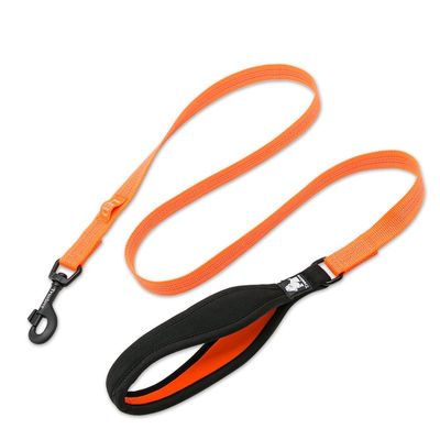 Laisse chien Truelove Pull 140 cm