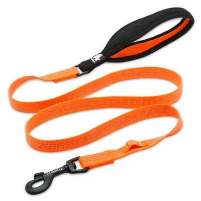 Laisse chien Truelove Pull 140 cm Laisse chien Truelove Pull 140 cm