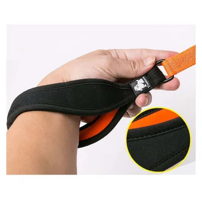 Laisse chien Truelove Pull 140 cm