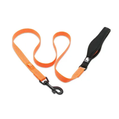 Laisse chien Truelove Pull 140 cm