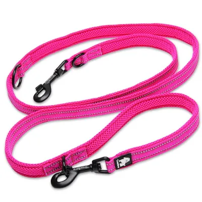 Laisse chien Truelove Ride