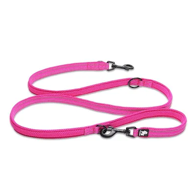 Laisse chien Truelove Ride