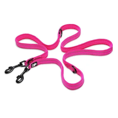 Laisse chien Truelove Ride