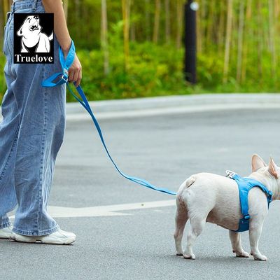 Laisse chien Truelove PULL IDAHO - Matière recyclée