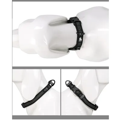 Collier Chien Truelove Flux