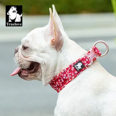 Collier Chien Truelove Flex Plus Spécial Edition Flower Collier Chien Truelove Flex Plus Spécial Edition Flower