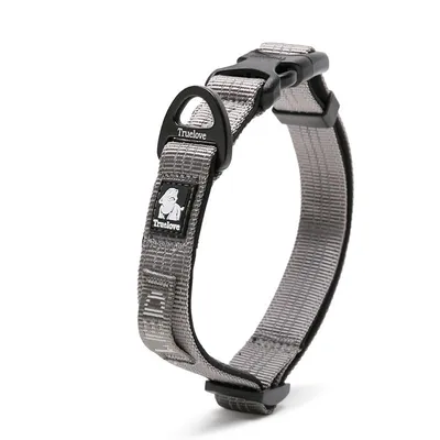 Collier Chien Truelove Flux