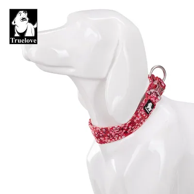 Collier Chien Truelove Flex Plus Spécial Edition Flower