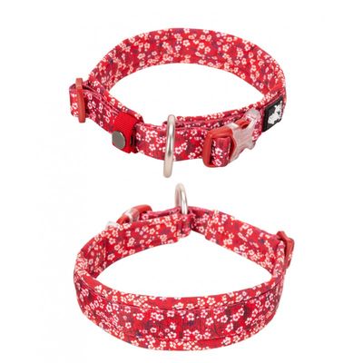 Collier Chien Truelove Flex Plus Spécial Edition Flower
