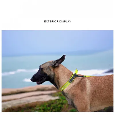 Collier Chien Truelove FOX - PVC avec fermeture boucle Collier Chien Truelove FOX - PVC avec fermeture boucle