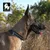 Collier Chien Truelove FOX - PVC avec fermeture boucle Collier Chien Truelove FOX - PVC avec fermeture boucle