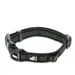 Collier Chien Truelove Flux