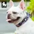 Collier Chien Truelove Flex Plus Spécial Edition Flower