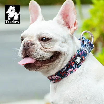 Collier Chien Truelove Flex Plus Spécial Edition Flower