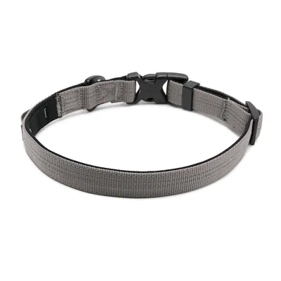 Collier Chien Truelove Flux Collier Chien Truelove Flux