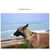 Collier Chien Truelove FOX - PVC avec fermeture boucle Collier Chien Truelove FOX - PVC avec fermeture boucle
