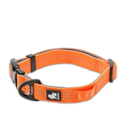 Collier Chien Truelove Flux