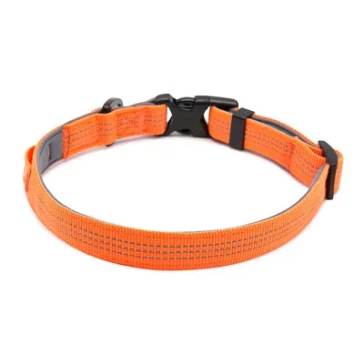 Collier Chien Truelove Flux Collier Chien Truelove Flux