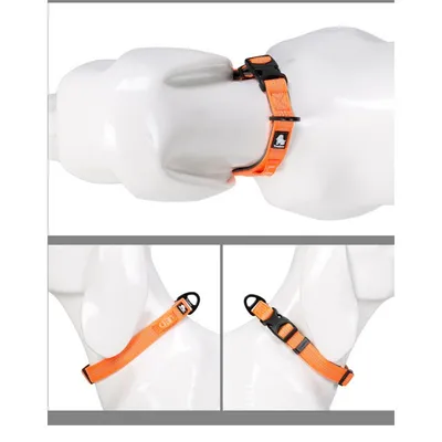 Collier Chien Truelove Flux Collier Chien Truelove Flux