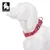 Collier Chien Truelove Flex Plus Spécial Edition Flower Collier Chien Truelove Flex Plus Spécial Edition Flower