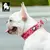 Collier Chien Truelove Flex Plus Spécial Edition Flower Collier Chien Truelove Flex Plus Spécial Edition Flower