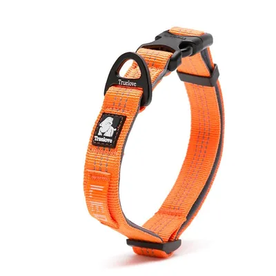 Collier Chien Truelove Flux