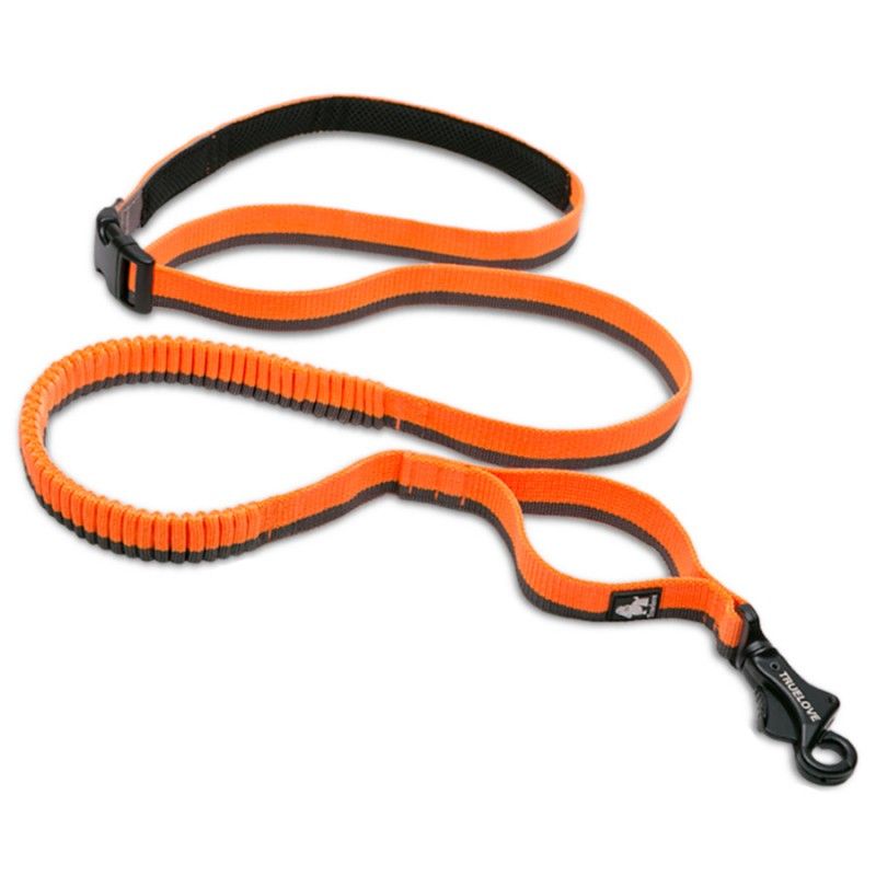 Longe élastique chien Truelove Capture