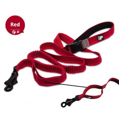 Longe élastique chien Truelove Capture