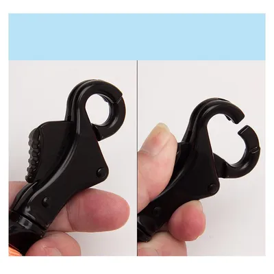 Longe élastique chien Truelove Capture