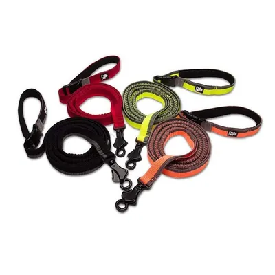 Longe élastique chien Truelove Capture