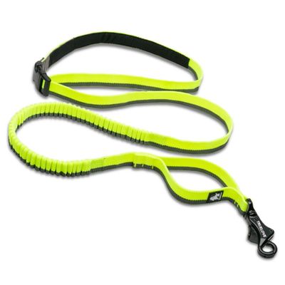 Longe élastique chien Truelove Capture