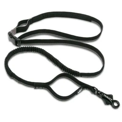 Longe élastique chien Truelove Capture