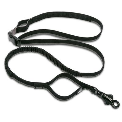 Longe élastique chien Truelove Capture