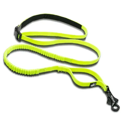 Longe élastique chien Truelove Capture