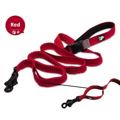 Longe élastique chien Truelove Capture