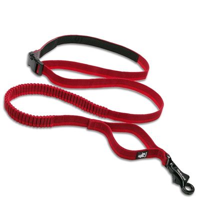 Longe élastique chien Truelove Capture