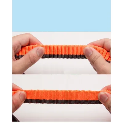 Longe élastique chien Truelove Capture