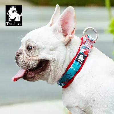 Collier Chien Truelove Flex Plus Spécial Edition Camouflage Collier Chien Truelove Flex Plus Spécial Edition Camouflage