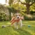 Jeu sonore pour chien Garfa la Girafe en peluche Jeu sonore pour chien Garfa la Girafe en peluche