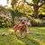 Jeu sonore pour chien Garfa la Girafe en peluche Jeu sonore pour chien Garfa la Girafe en peluche