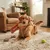 Jeu sonore pour chien Garfa la Girafe en peluche Jeu sonore pour chien Garfa la Girafe en peluche